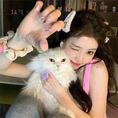 满城尽奏吉卜赛